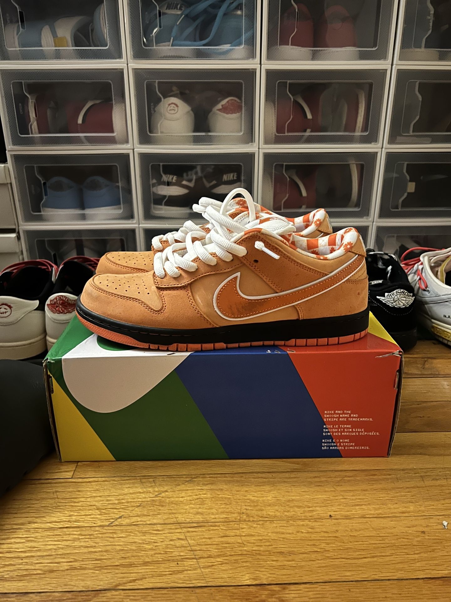 Nike SB Orange Lobster Size 10