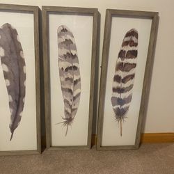Feather Artwork