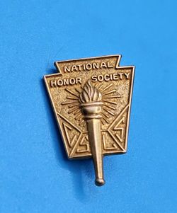 National Honor Society Vintage Lapel/Hat/Tie Pin Gold Tone, Torch, CSLS BGF $30