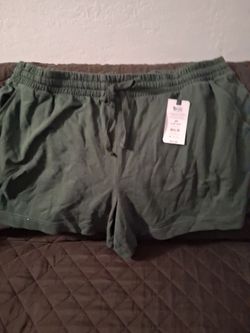 Ladies plus size shorts size 3X  24/26 $5