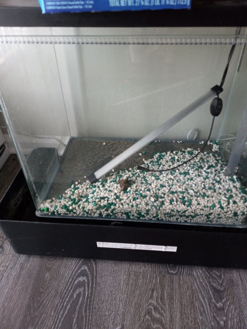 Waterfall Fish Tank âž• Small Fish Tank