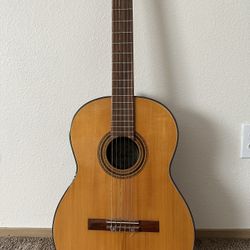 Guitar
