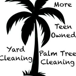 Palm Tree trimming  And More 