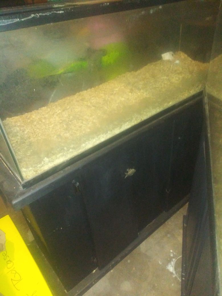 Fish tanks with wood stands 3 foot long. Used for turttles no long used$140 for both