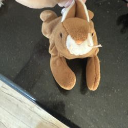Ty  Bunny Plushie 