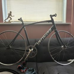 Specialized