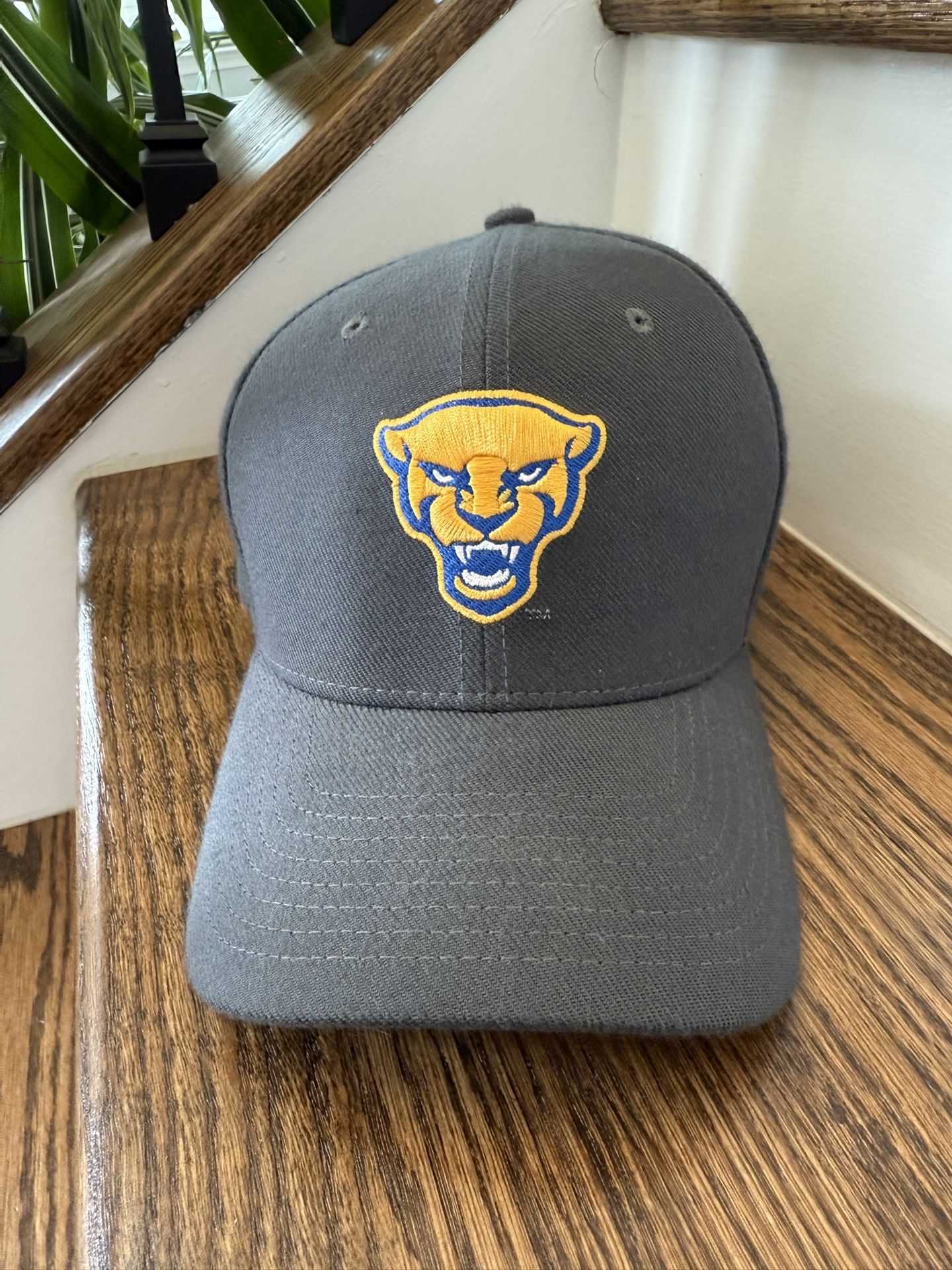 Nike Gray Cap with Pitt Panther Logo