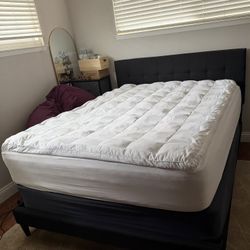 Queen Frame/box Spring & Mattress 