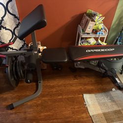 Bench With Preacher Curl And Weights