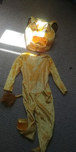 Disney lion King costume 3t