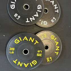 Bumper Plates - Set Of 15lb And 35lb
