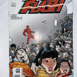 The Flash DC Comic 