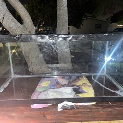 40 Gallon Reptile Tank