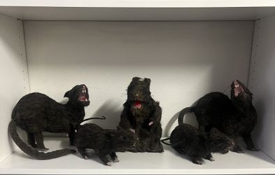 Halloween Rat Decorative Figurines Set Of 5
