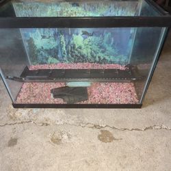 29 Gallon Fish Tank Setup W Everything Included 