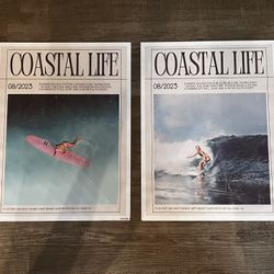 2 Surf Vinyl Print Posters 