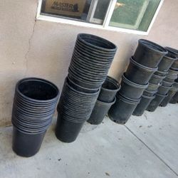 1 Gallon & 15 Gallon Nursery Pots for Sale in San Diego, CA - OfferUp