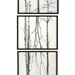 Wood Framed Branch Artwork (Set of 3)- NEW
