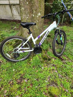 Royce Union Rtt 24" Mountain Bike