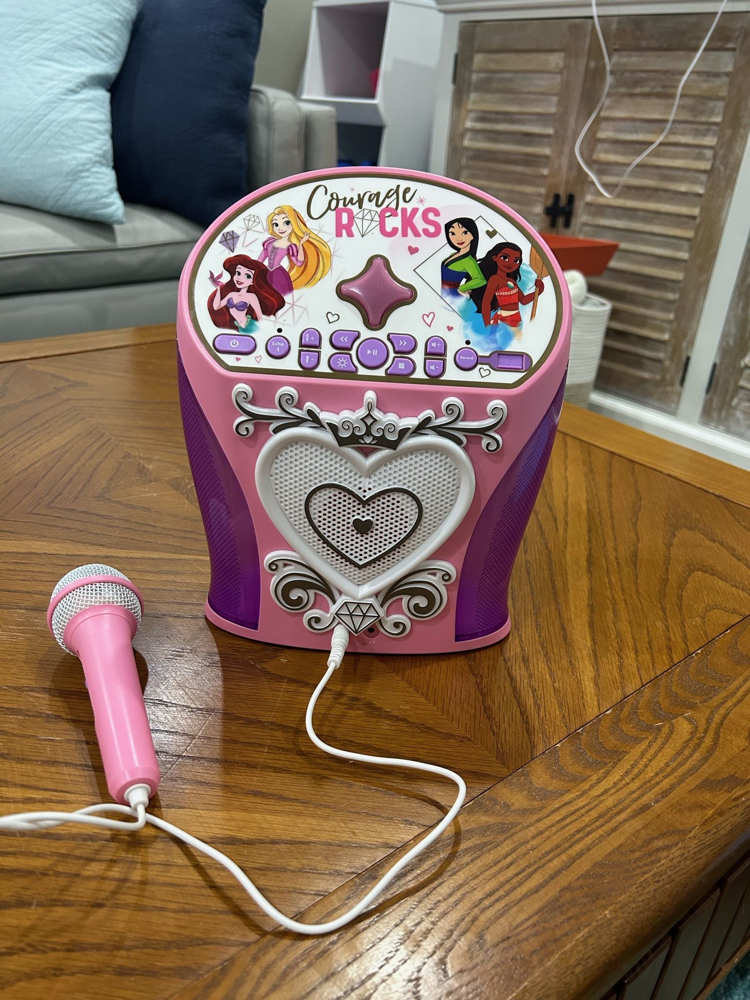Courage Rocks Karaoke Machine