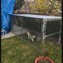 Dog Kennel With Waterproof Installed Roof 4x4x10