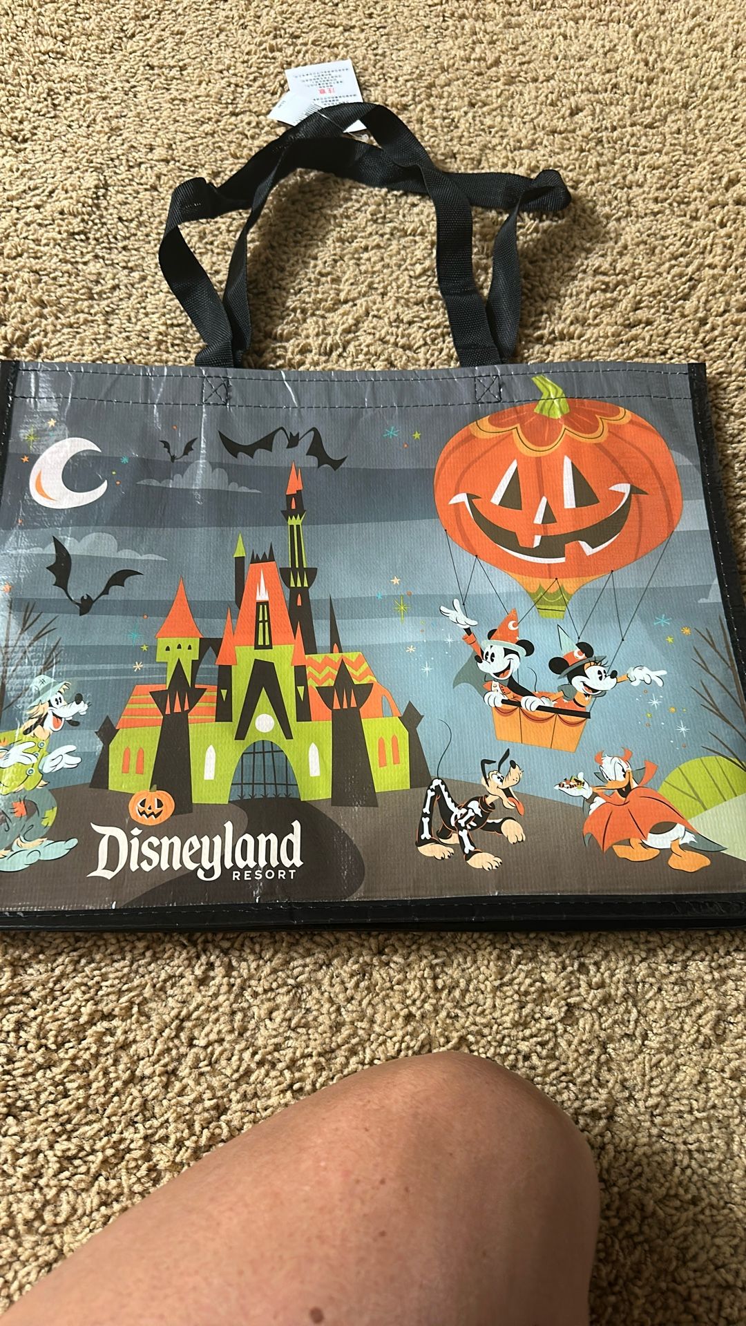 Halloween Disneyland Bags 7.00 EA-3 Available. 