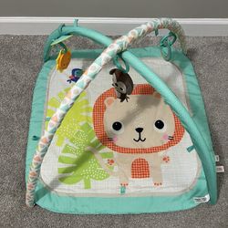 Baby Gym Mat