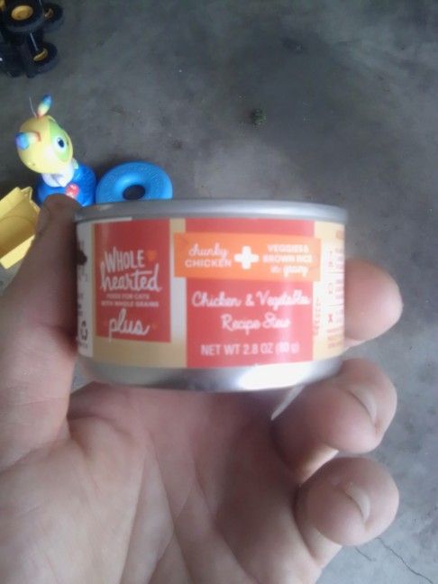 Cat And Dog Food