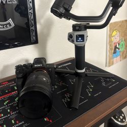 Sony a7 iv / 24-70mm Sigma Lens 