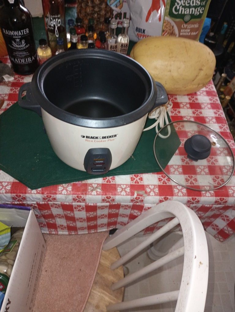 Rice And Veggies Cooker $10