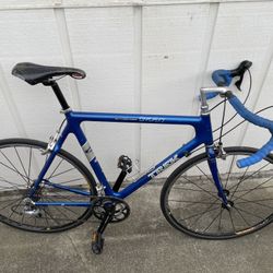 Trek 5220 Vintage Carbon Road Bike (60cm)