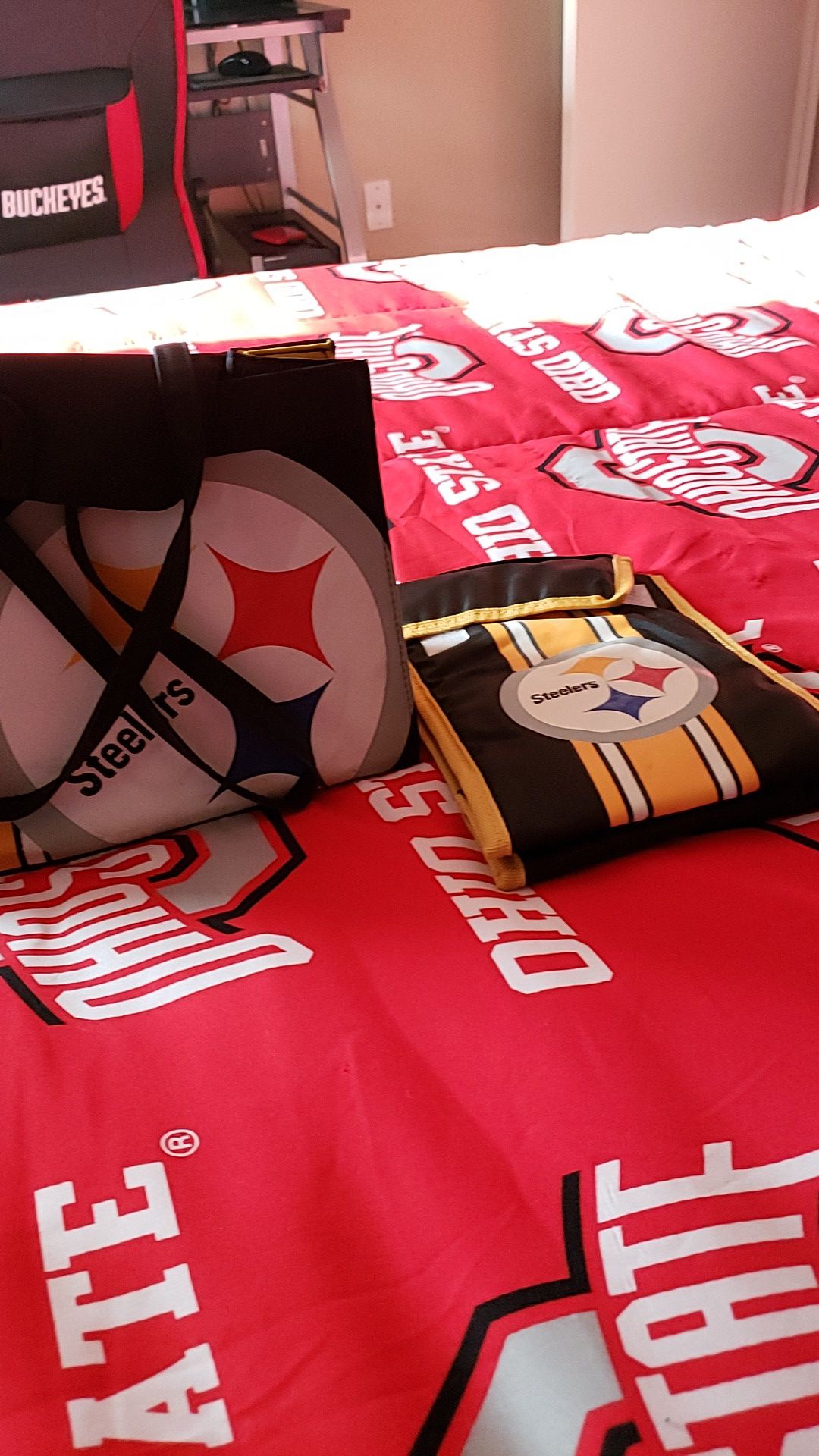 Steelers purse and small cooler