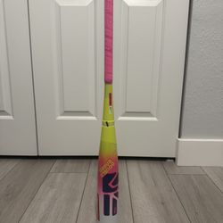 Brand New Easton Dub Baseball Bat 29” Drop -10