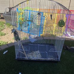 Bird Cage 