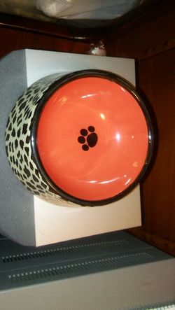 Ceramic dog dish