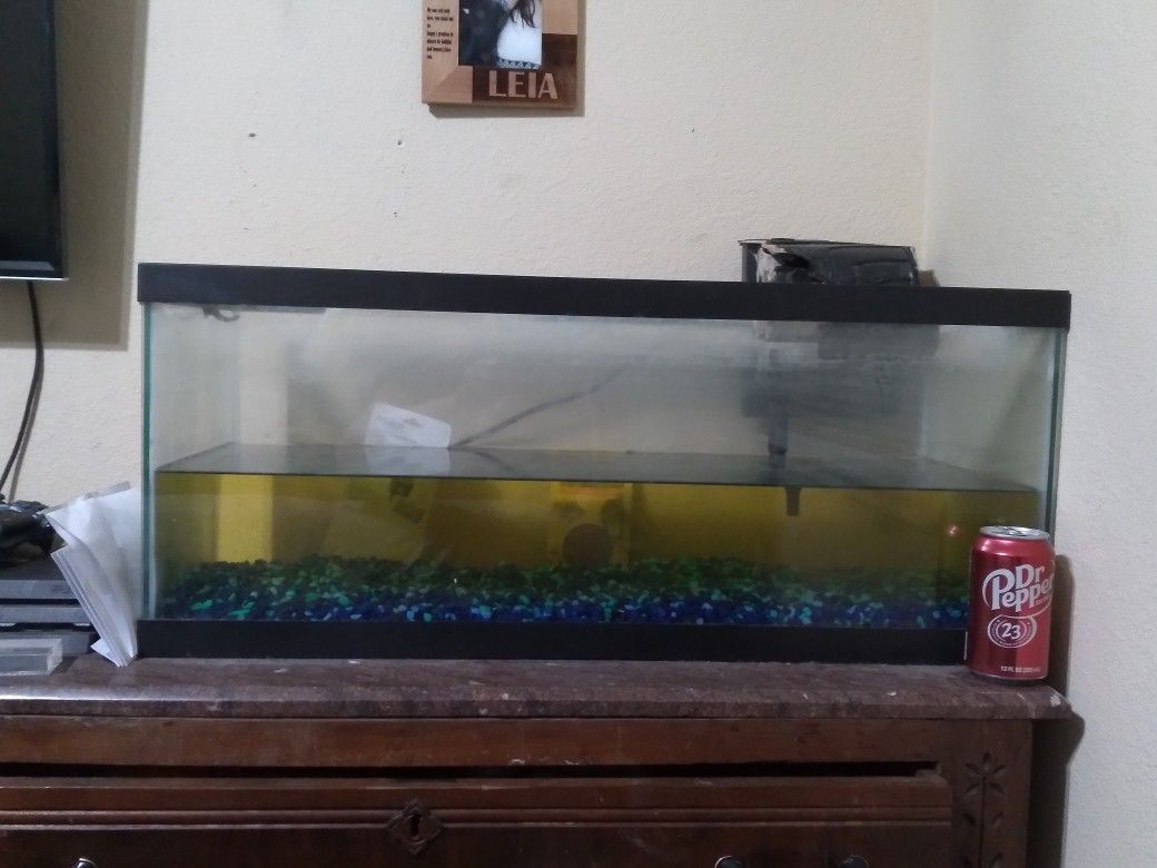 30 gallon aquarium fishtank