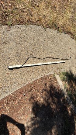 Extra Long Surge Protector