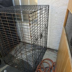 XL Kennel 
