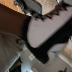 Jordan 9s