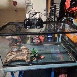 Reptile Tank