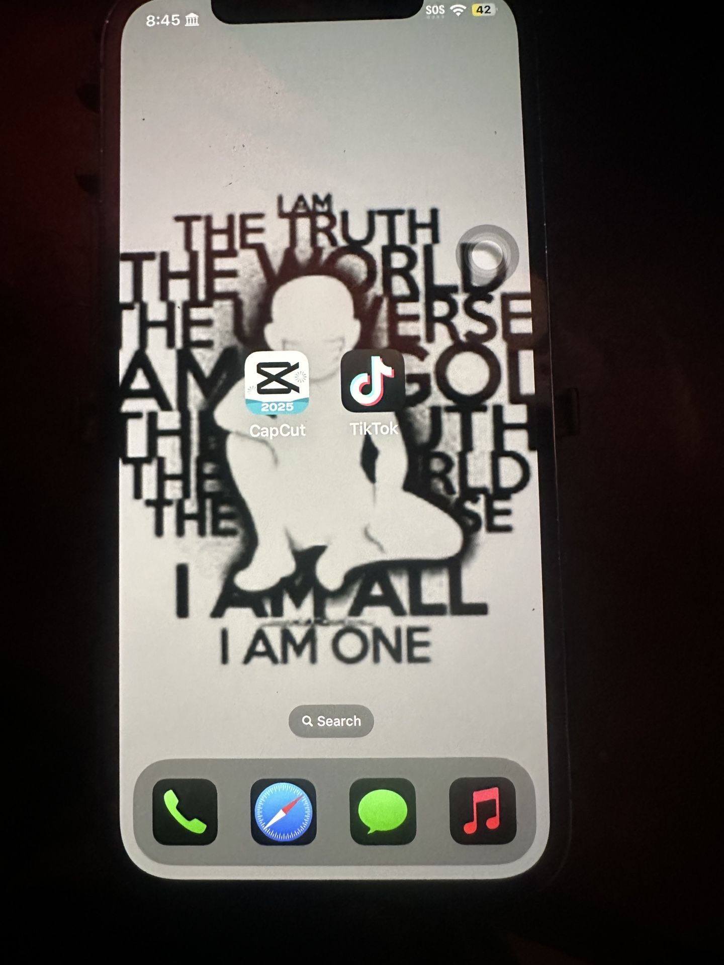 iPhone With TikTok