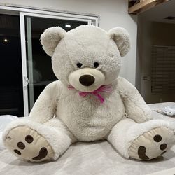 Cute Big Bear