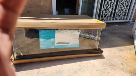 28 gallon shallow frameless tank