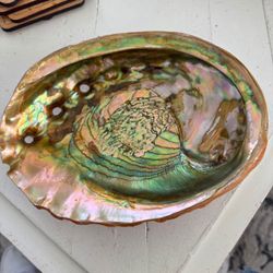 VINTAGE ABALONE SHELL BOWL DECOR