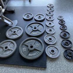 Complete STANDARD Olympics Weight Gym Plates, 272.5 lbs total.  All in Great Condition.  Cash Price is Firm. Sold together Only.
