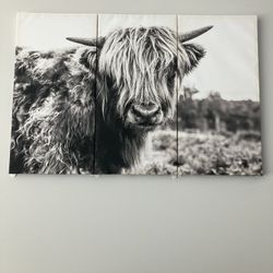 Large 3 Piece Buffalo Canvas