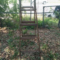 Rustic Ladder 