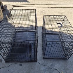 Dog Cages