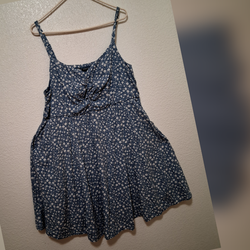 Torrid plus size Dress 2x