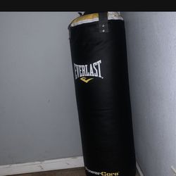 Brand New 70 Lbs Heavy Bag With Chains 